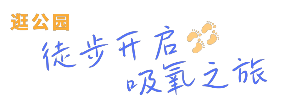 哪里可以找到推广篮球发展的资源_2